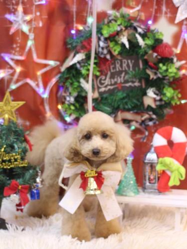 20231221サラちゃん